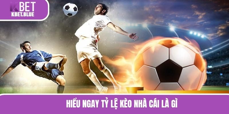 Hiểu ngay tỷ lệ kèo nhà cái là gì