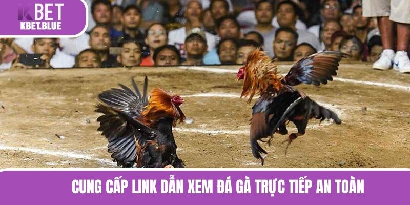 Cung cấp link dẫn xem đá gà trực tiếp an toàn
