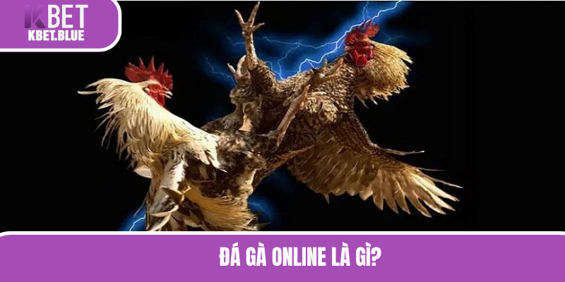 Đá gà online là hình thức chọi kê đầy hấp dẫn