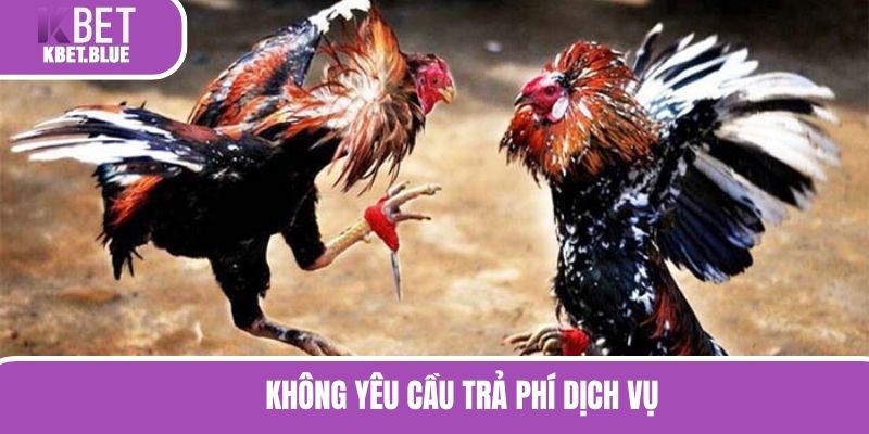 Không yêu cầu trả phí dịch vụ